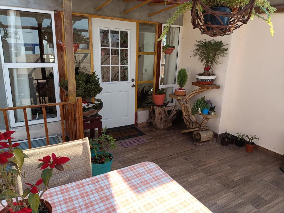 Penthouse Con Roof Garden Privado Aeropuerto Cdmx Apartment Mexico City Exterior photo